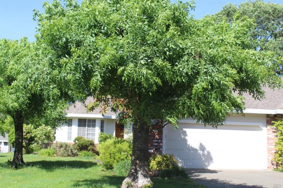McBride Realty Real Estate for Buy/Sell in Oakmont Sonoma County McBride Realty Real Estate for Buy/Sell in Oakmont Sonoma County