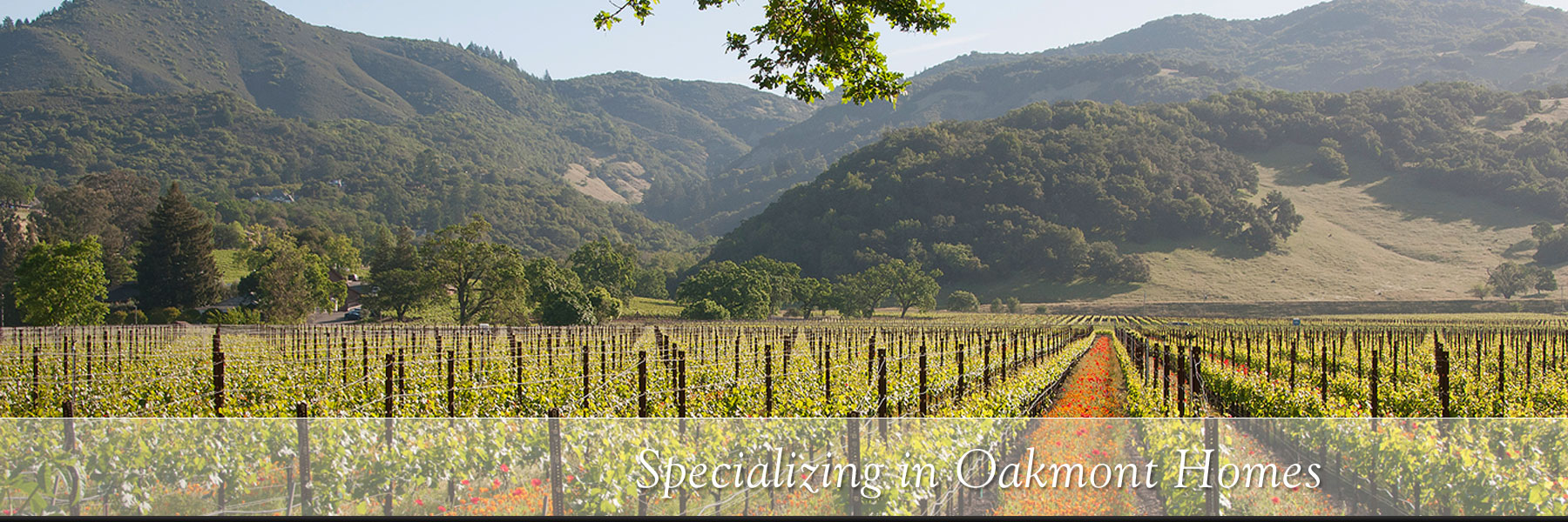 McBride Realty Real Estate for Buy/Sell in Oakmont & Sonoma County